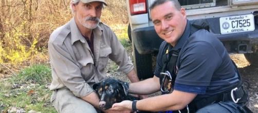 Dog stuck on a cliff successfully rescued - ABC 36 News - wtvq.com