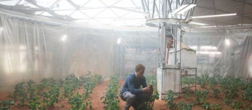 Potatoes Can Grow in Mars-like Soil and Conditions, Study Shows ... - digitaltrends.com