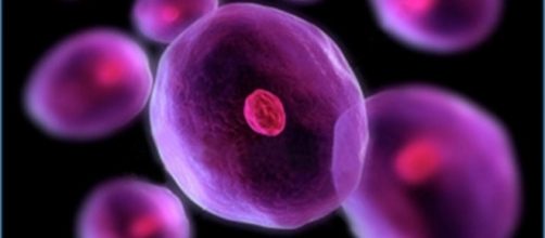 El tratamiento de células madres nos abre bastantes posibilidades ... - doctorsempertegui.com