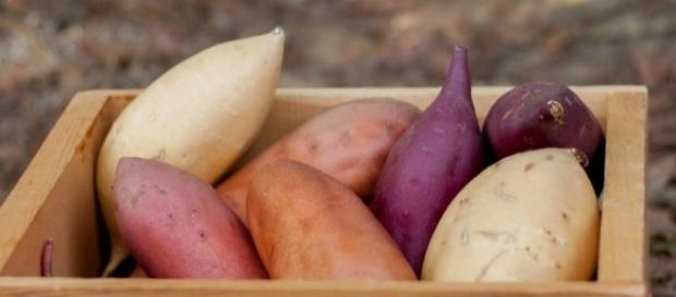 Benefícios da batata-doce para a saúde Benefícios da batata-doce para a saúde