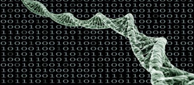 DNa Strang. Im Hintergrund binärer Code DNa Strang. Im Hintergrund binärer Code