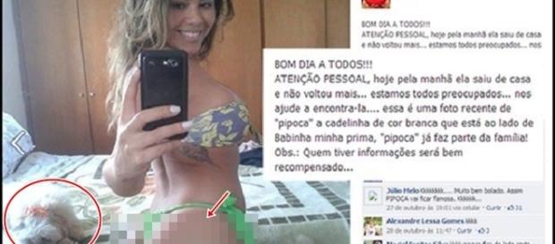 Homem procura cadela desaparecida e posta foto de gata de biquíni. Homem procura cadela desaparecida e posta foto de gata de biquíni.