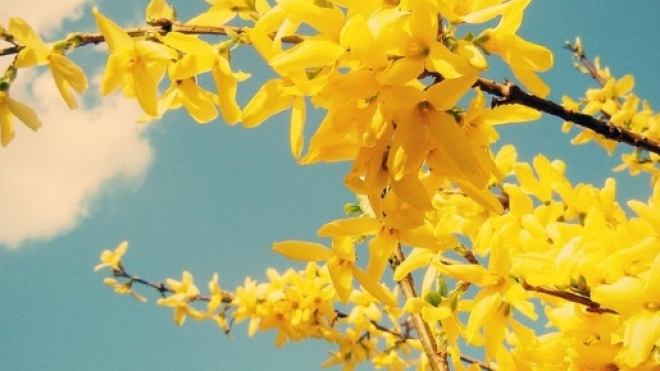 Sole e temperature primaverili previste in settimana