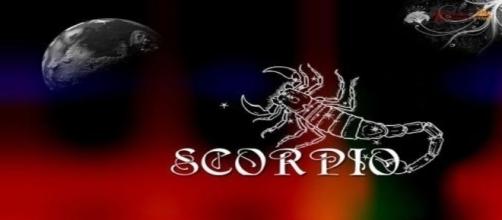 Scorpio Zodiac Sign Scorpion Graphic - imagesbuddy.com