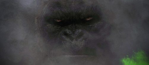 Kong, el gorila, más allá de una historia