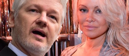 Pamela Anderson sparks rumours she's dating Wikileaks founder ... - mirror.co.uk