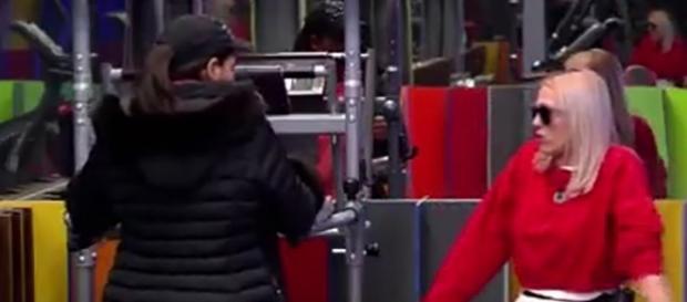 Aída considera que Daniela prefiere la multitud a la exquisitez Aída considera que Daniela prefiere la multitud a la exquisitez
