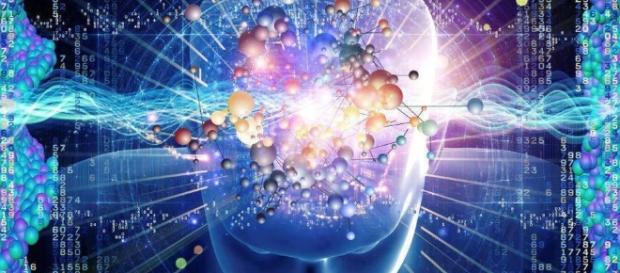 Estudo comprova córtex cerebral e suas sensações Estudo comprova córtex cerebral e suas sensações