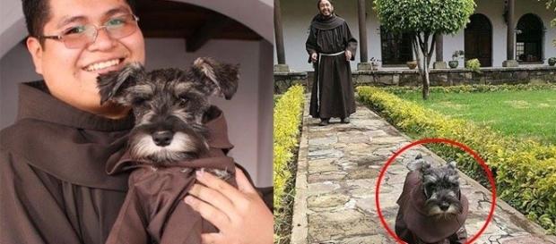 Frei Bigotón foi adotado e agora vive junto com os monges Frei Bigotón foi adotado e agora vive junto com os monges