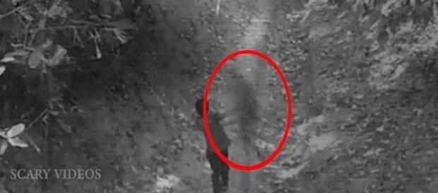 Suposto espírito derruba menino na floresta (Youtube/Scary Videos) Suposto espírito derruba menino na floresta (Youtube/Scary Videos)