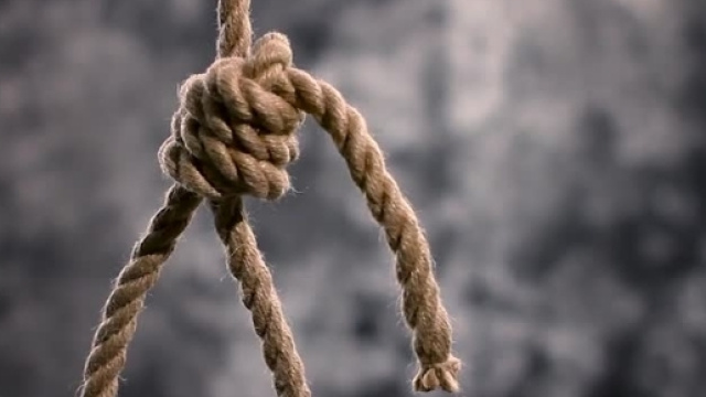 Padova, 15enne si impicca a un albero