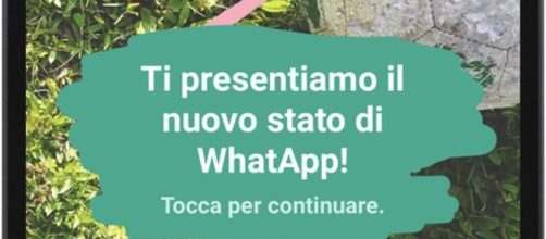 Stop alla funzione stato di Whatsapp ispirata alle Storie di ...