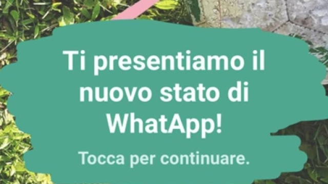 Stop alla funzione stato di Whatsapp ispirata alle Storie di ...