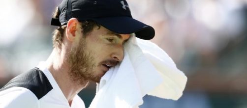 Andy Murray: British No. 1 'Wants Family' After Shock Indian Wells ... - newsweek.com