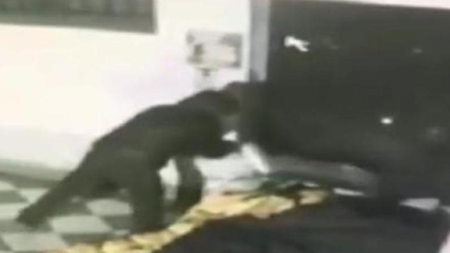 Palermo,clochard bruciato vivo.