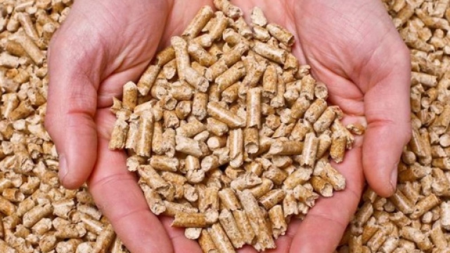 Nuovi studi sul pellet dimostrano che sia inquinante e dannoso per l'ambiente e per l'uomo