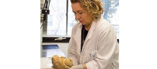La scienziata italiana Sabina Berretta racconta la sua carriera di "cervello in fuga"