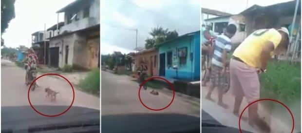Cenas revoltantes em Belém do Pará Cenas revoltantes em Belém do Pará