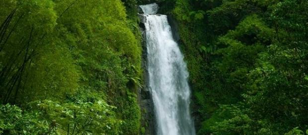 Los recursos naturales, bosques, selvas, ríos, fauna, todo está en venta y los Mexicanos hundidos en su apatía e indiferencia se aferran a la pobreza Los recursos naturales, bosques, selvas, ríos, fauna, todo está en venta y los Mexicanos hundidos en su apatía e indiferencia se aferran a la pobreza