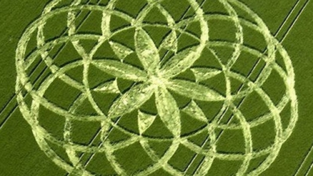 Esempio di un "cerchio nel grano"