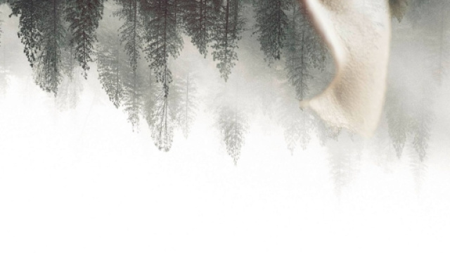 This Life Denied Me Your Love, il quarto album di Giorgio Tuma live in Italia