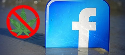 Facebook censura la Cannabis e minaccia di chiusura la pagina di ... - dolcevitaonline.it