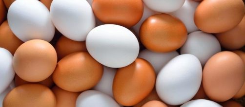 Foto de algumas variedades de ovos