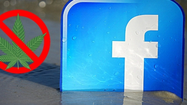 Facebook censura la Cannabis e minaccia di chiusura la pagina di ... - dolcevitaonline.it