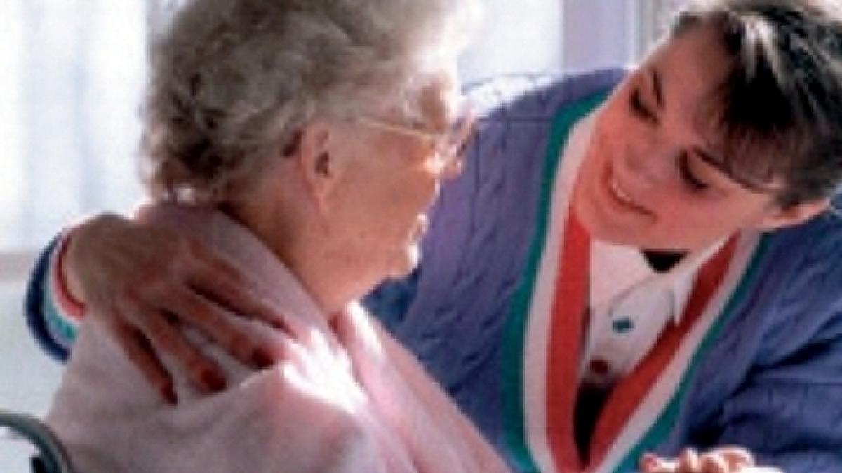 TASSE DENTISTA SCARICARE