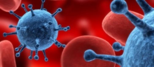 Blood cells and viruses, Wikimedia Commons https://commons.wikimedia.org/wiki/File:Cancer-vs-alzheimer-1080x810.jpg