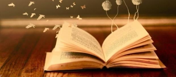 Libro: La lección de vida de Alicia | Todos Somos Uno - com.mx Libro: La lección de vida de Alicia | Todos Somos Uno - com.mx