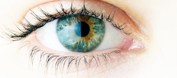 Retinas artificiais são testadas com sucesso Retinas artificiais são testadas com sucesso