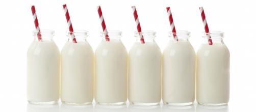 Milk on Flipboard - flipboard.com