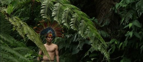 Amerindiano / Foresta pluviale / Bolivia