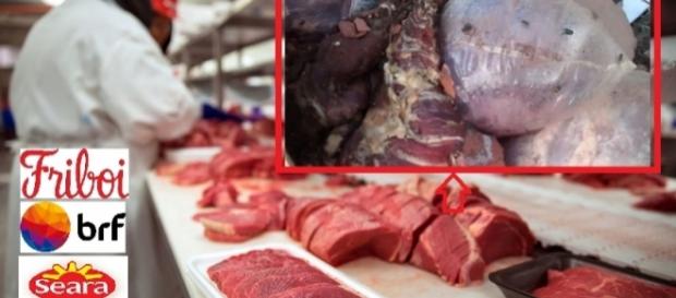 Conheça a Operação "Carne Fraca" da PF Conheça a Operação "Carne Fraca" da PF