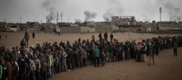 Civiles desplazados de la ciudad de Mosul. Civiles desplazados de la ciudad de Mosul.