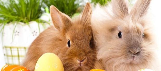 è Pasqua? E perchè cambia sempre la data? - marcopolo.tv è Pasqua? E perchè cambia sempre la data? - marcopolo.tv