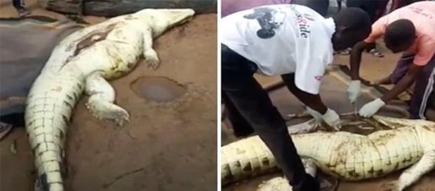 Imagens de crocodilo com criança no estômago repercute na Europa (CEN via Metro) Imagens de crocodilo com criança no estômago repercute na Europa (CEN via Metro)