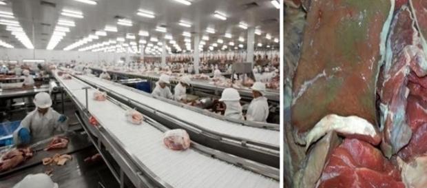 Repasse de carne estragada era feito com aval de fiscais do Ministério da Agricultura. Repasse de carne estragada era feito com aval de fiscais do Ministério da Agricultura.