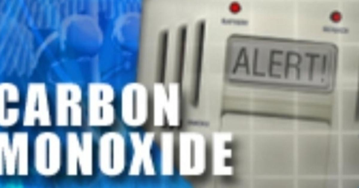 Hero cat saves her humans from carbon monoxide poisoning