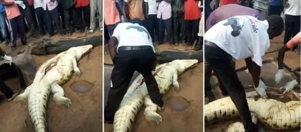 Moradores encontram criança dentro da barriga de crocodilo (Foto: Reprodução/Vídeo) Moradores encontram criança dentro da barriga de crocodilo (Foto: Reprodução/Vídeo)