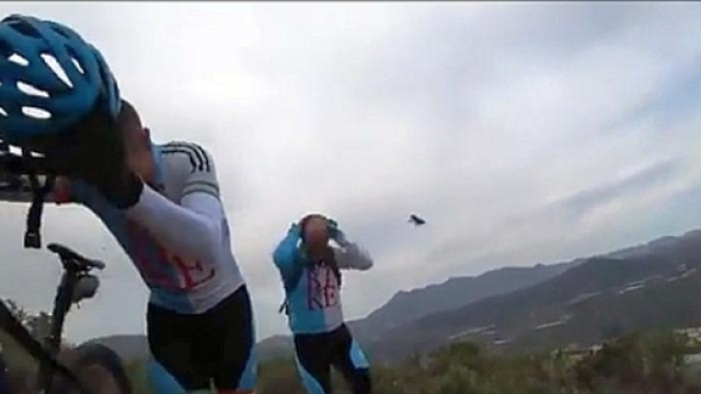 Spagna, ciclisti punti da uno sciame d'api