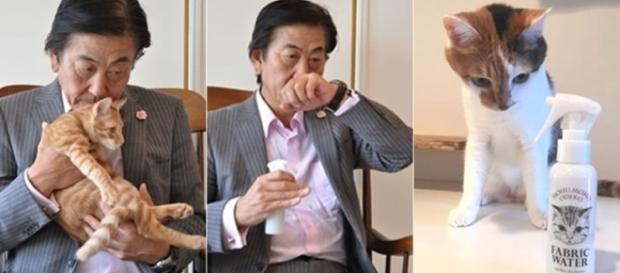 Perfumaria japonesa lança spray com cheiro de ''cabeça de gatinho'' (Reprodução: Twitter) Perfumaria japonesa lança spray com cheiro de ''cabeça de gatinho'' (Reprodução: Twitter)
