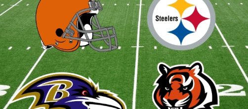 Let's look at the AFC North and what every team needs for next season - thesidelinereport.com