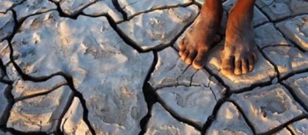 Le réchauffement climatique et ses effets en Afrique Le réchauffement climatique et ses effets en Afrique