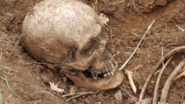 Proiettili e fibbie in dotazione all&rsquo;esercito inglese assieme alle ossa ritrovate a Giovi, Salerno.