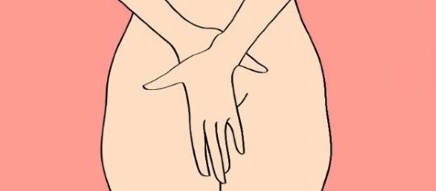 Conheça a anatomia da vagina e suas particularidades Conheça a anatomia da vagina e suas particularidades