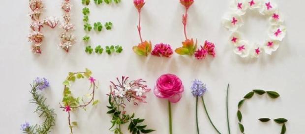 Da la bienvenida a la primavera con alguna de estas 10 originales ... - blogspot.com Da la bienvenida a la primavera con alguna de estas 10 originales ... - blogspot.com