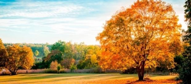 El otoño llegó este 20 de marzo El otoño llegó este 20 de marzo