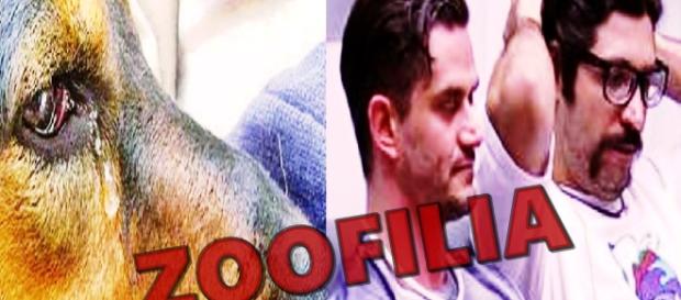 Zoofilia é revelada no BBB - Imagem/Google Zoofilia é revelada no BBB - Imagem/Google
